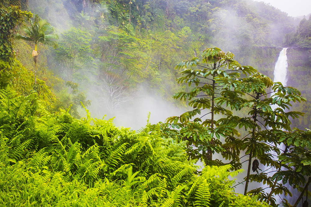 Akaka Fall
