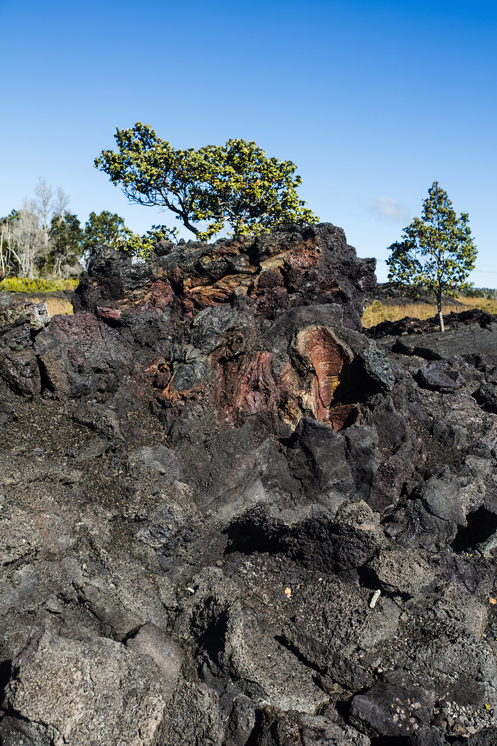 Chain of Craters Road - Big Island