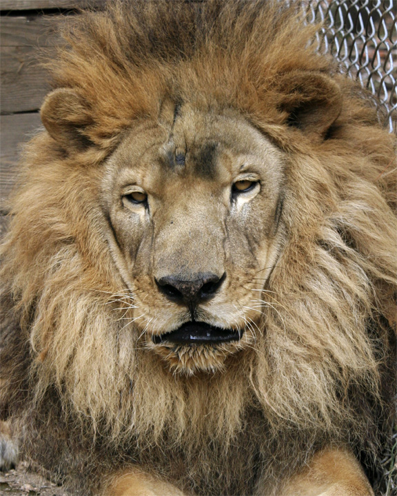 IMG_1843a 8x10kaz.jpg