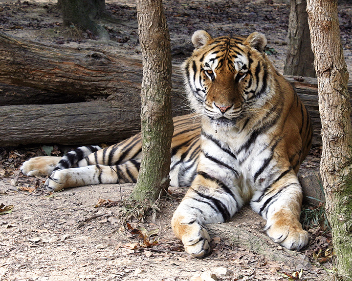IMG_1868a 8x10doc.jpg