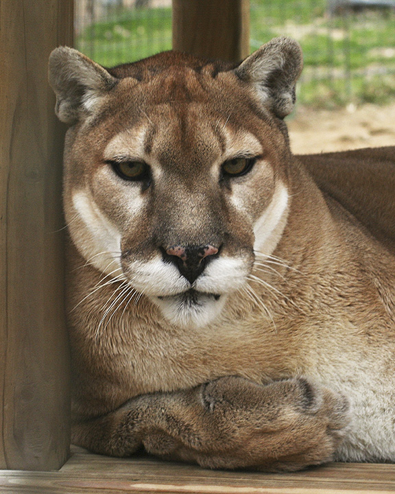 IMG_2846a 8x10 big.jpg