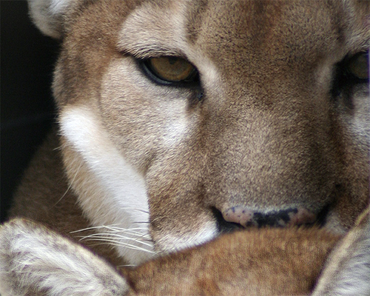 IMG_2558a 8x10 big t.jpg