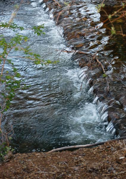 Mill Creek, upstream from Main Street