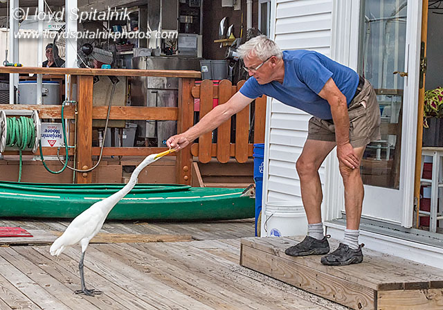 Don Riepe and Egor