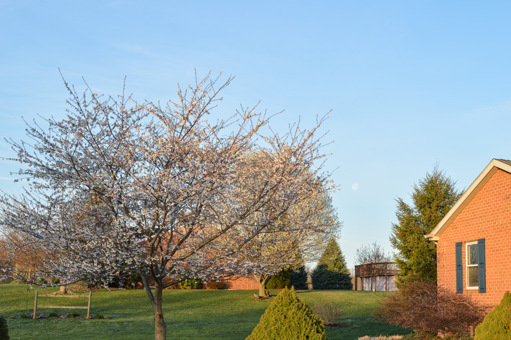 DSC_0234.jpg