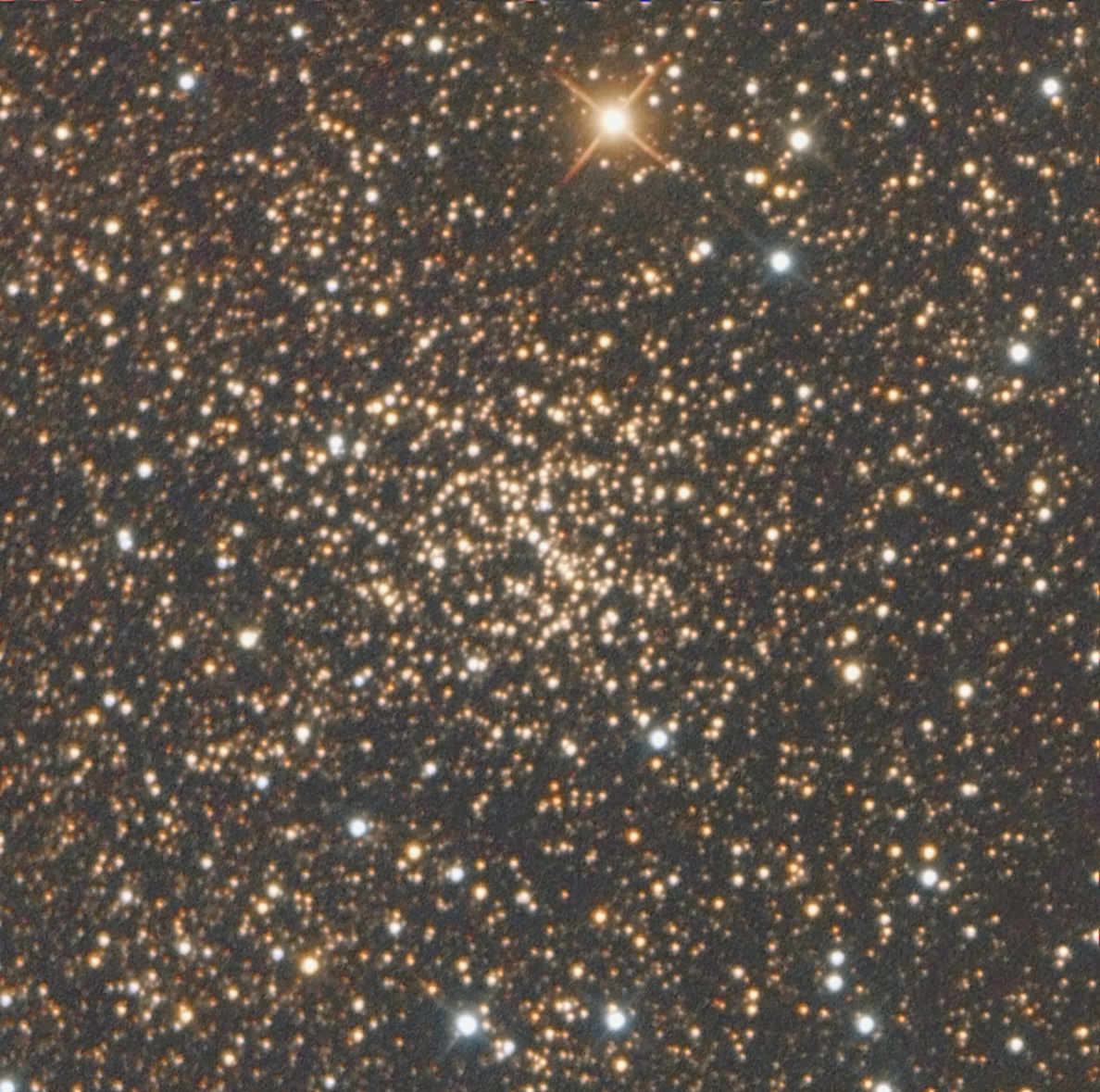 NGC 6603 dans M 24