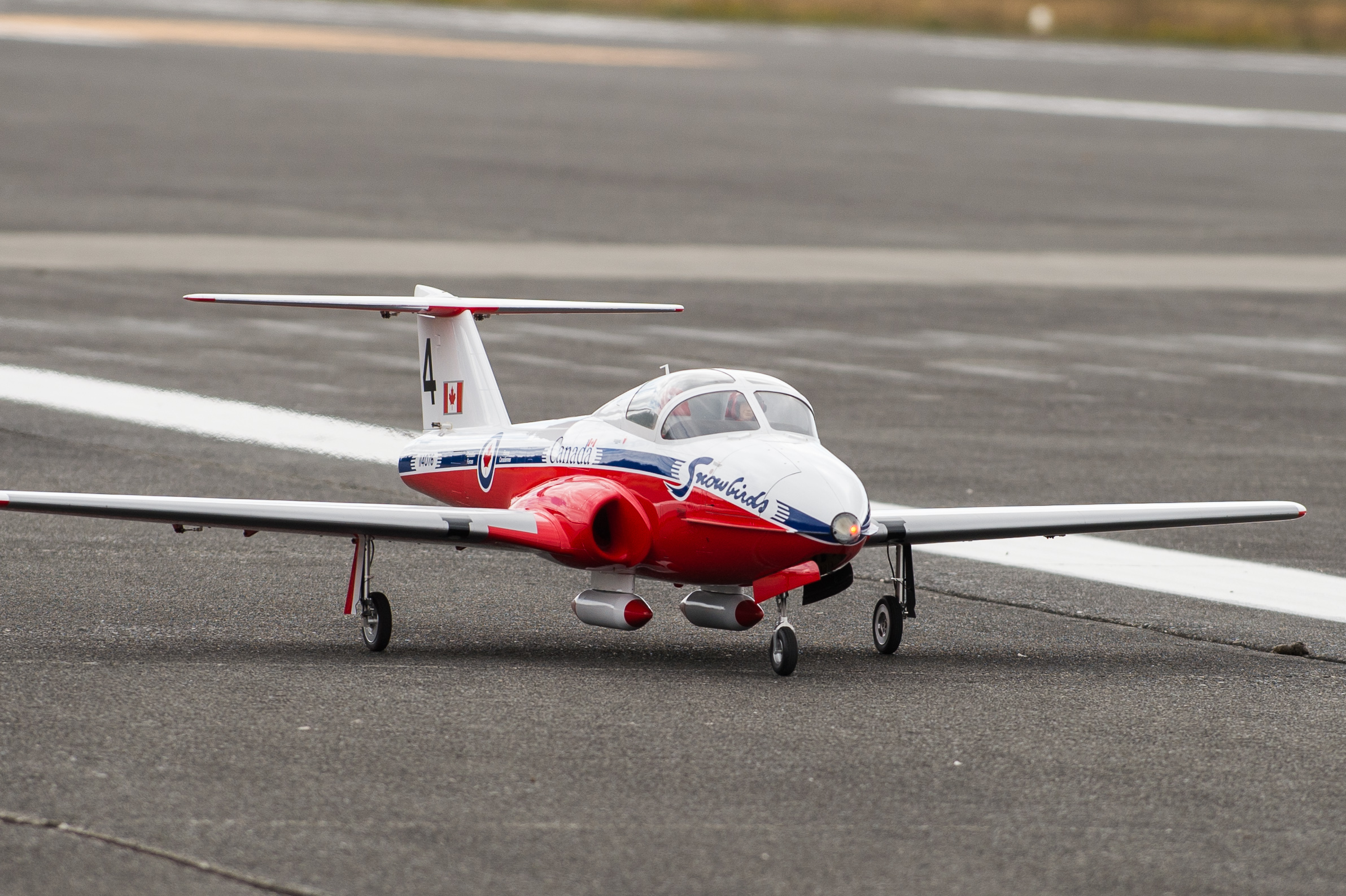 DSC_6036.jpg