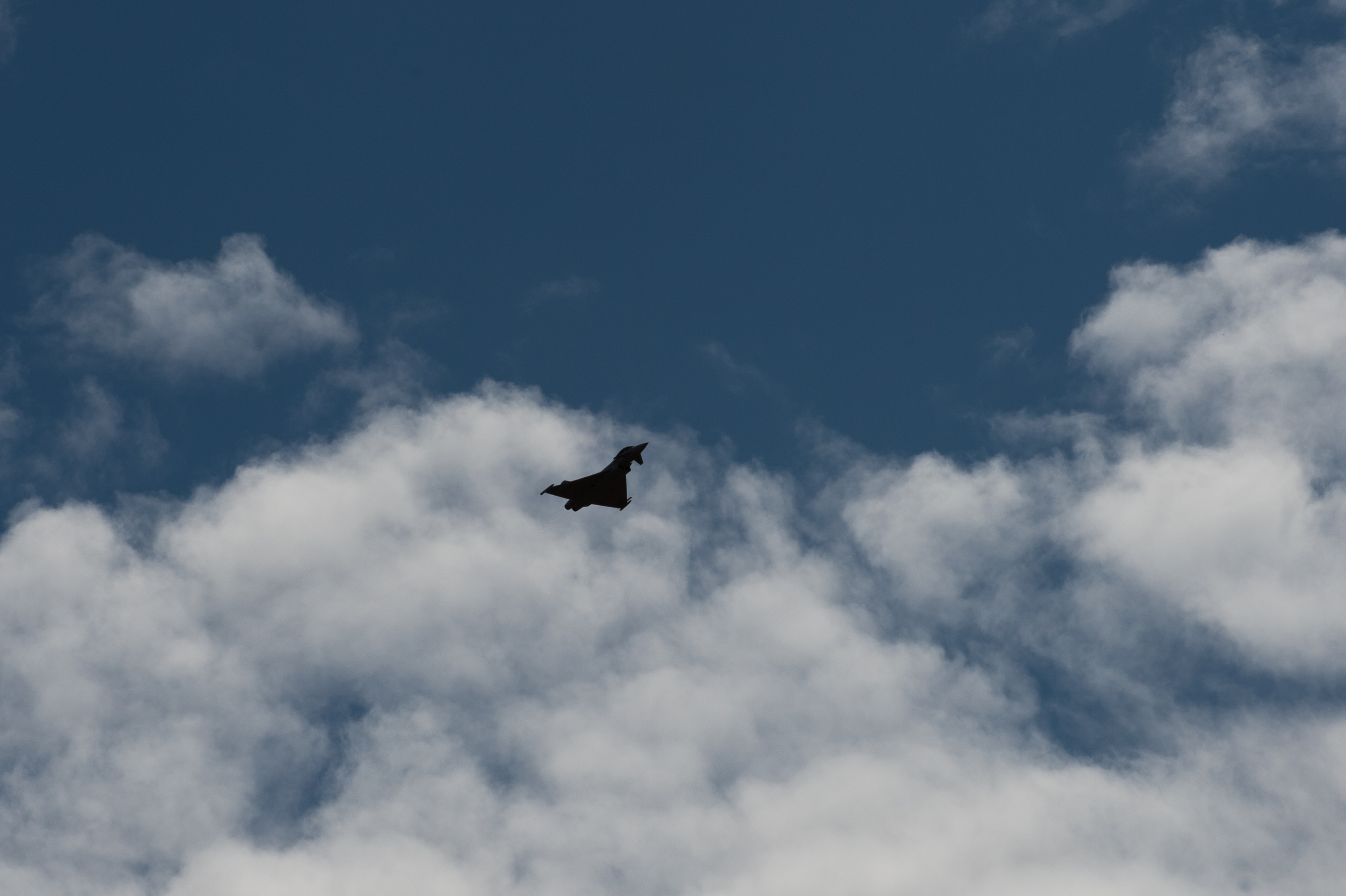 DSC_6194.jpg