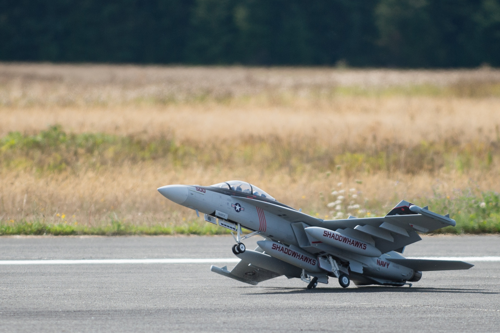 DSC_6393.jpg