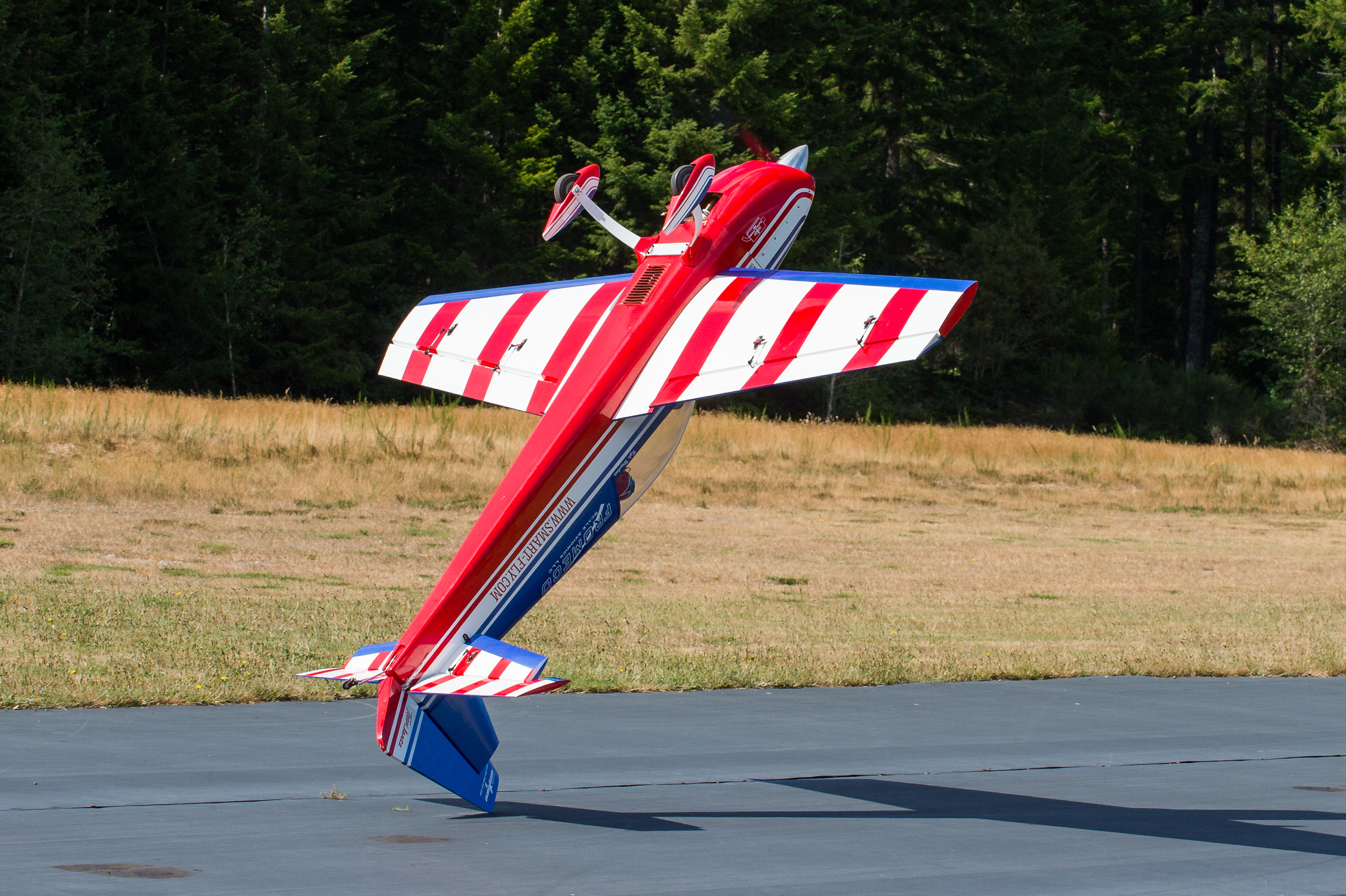 DSC_5030.jpg