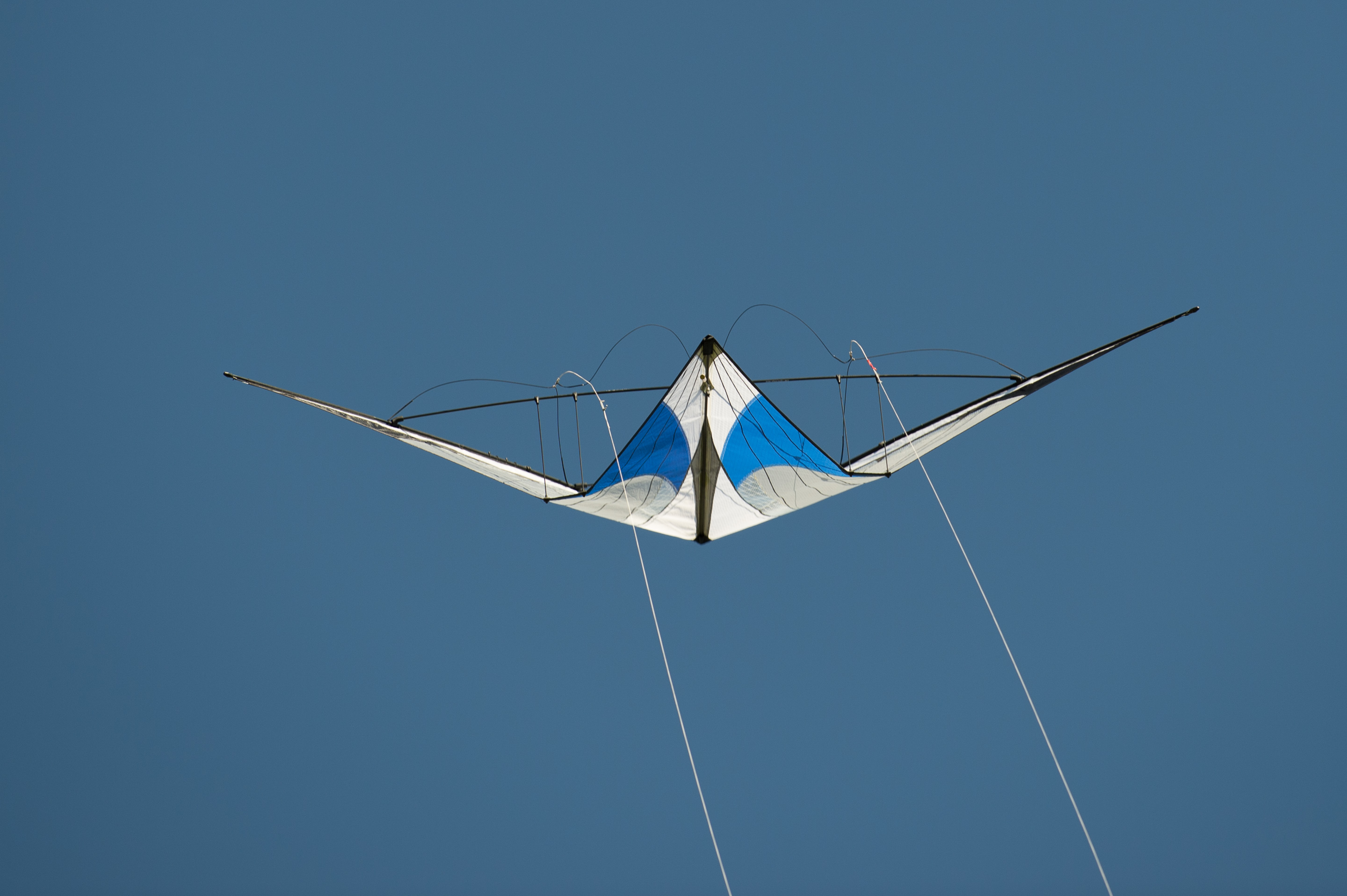 _DSC3063.jpg