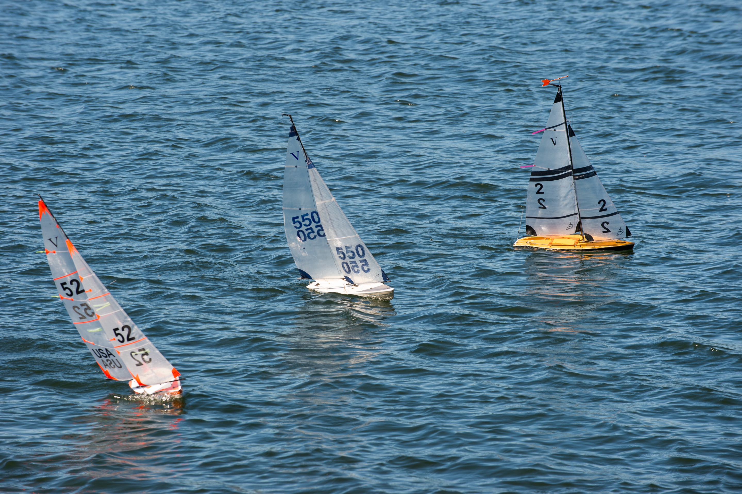 _DSC8255.jpg