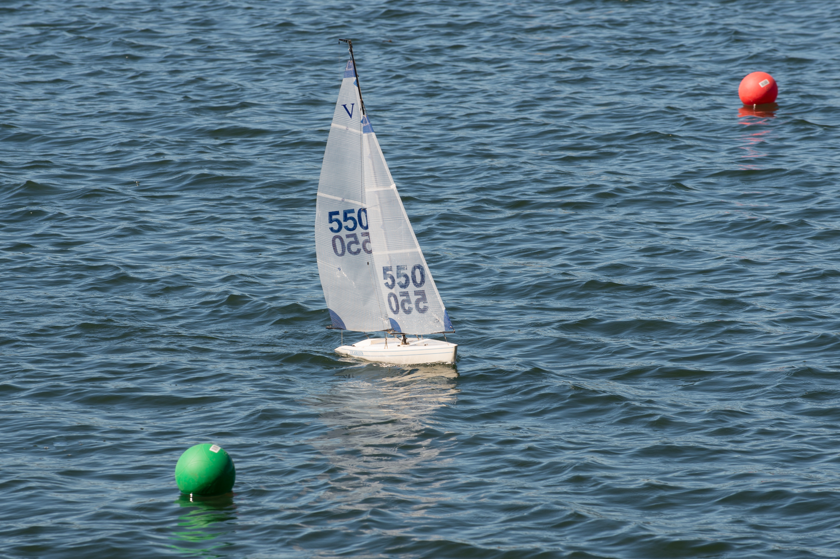 _DSC8262.jpg