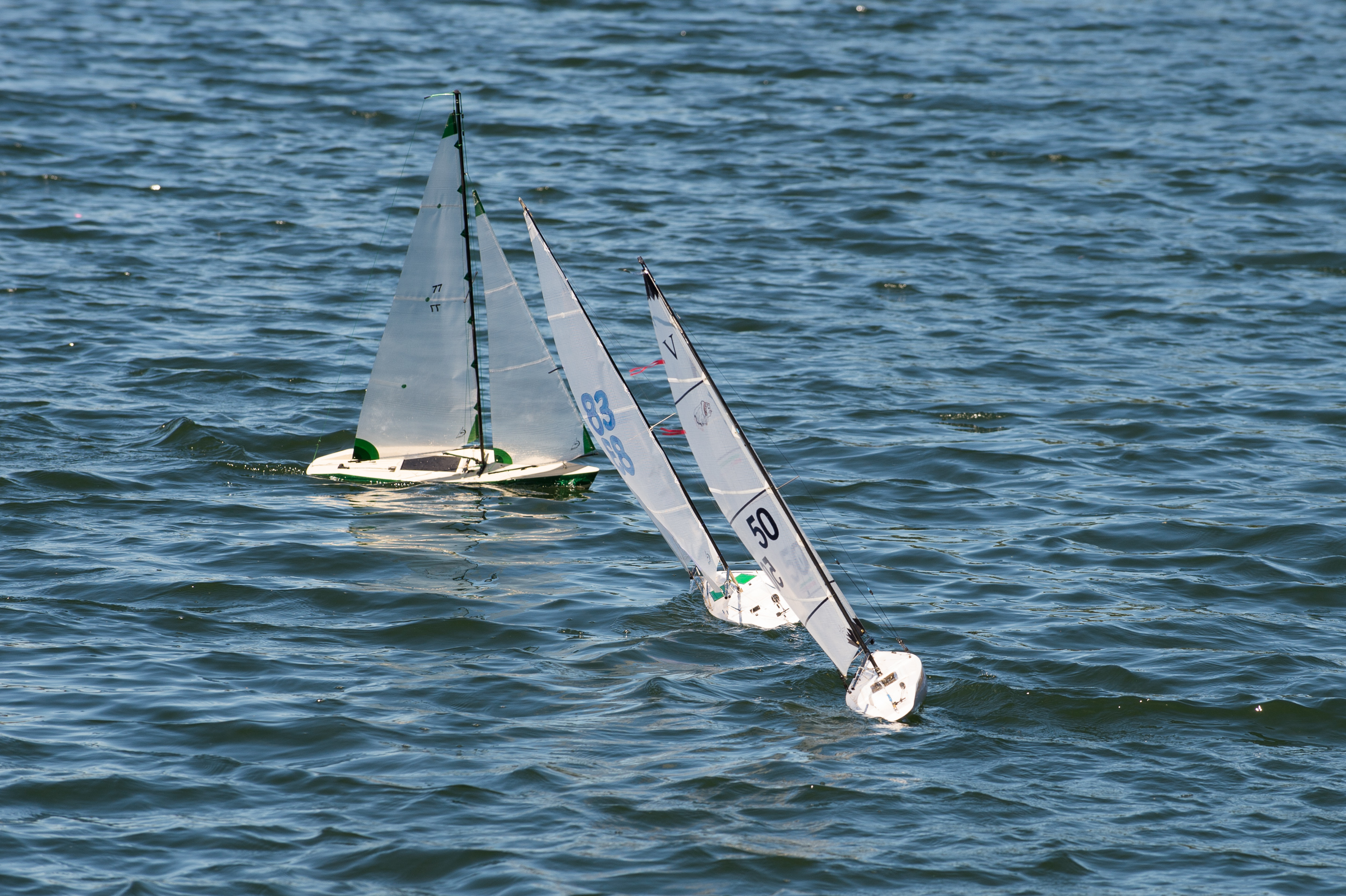 _DSC8310.jpg