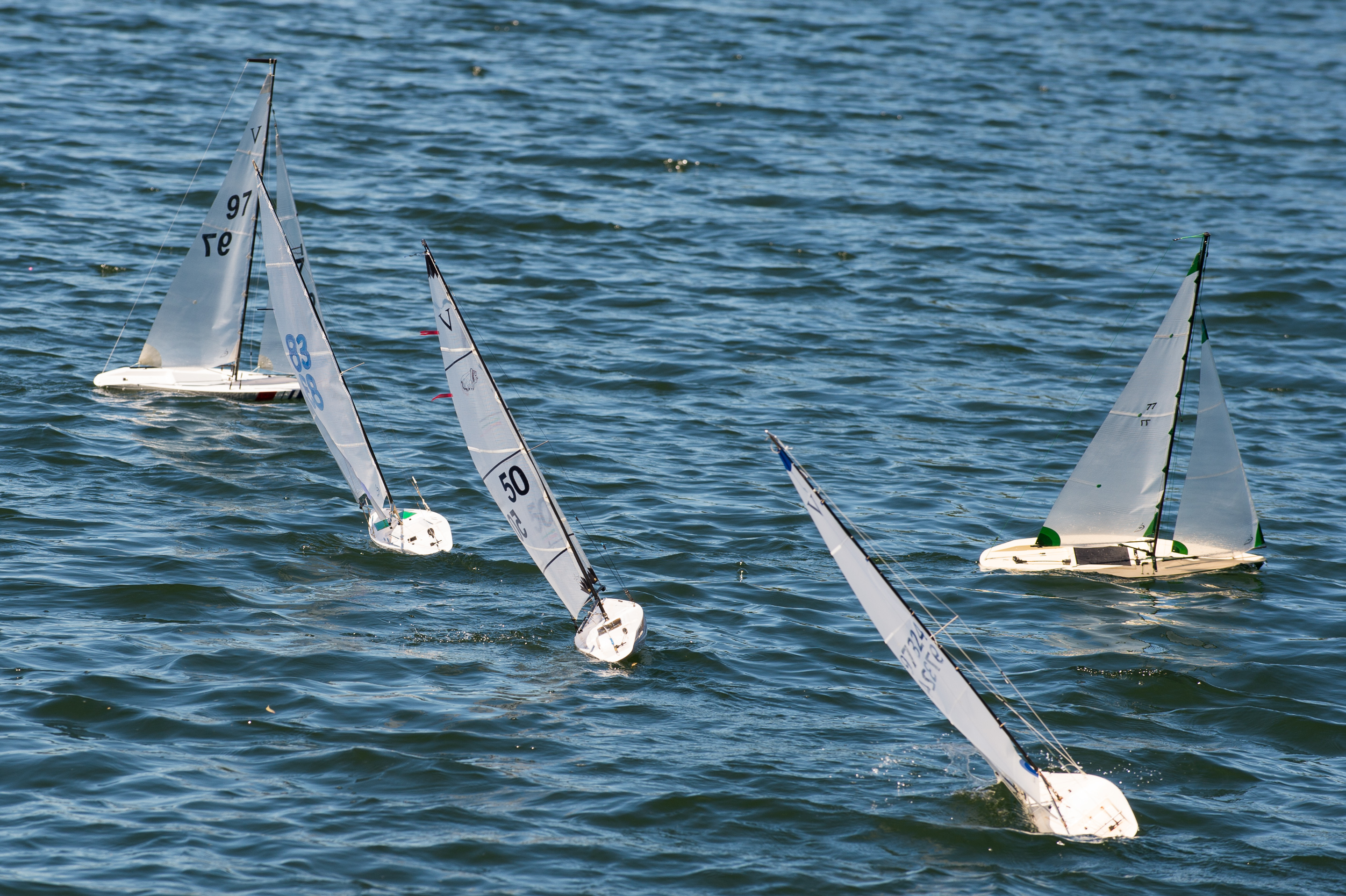 _DSC8312.jpg