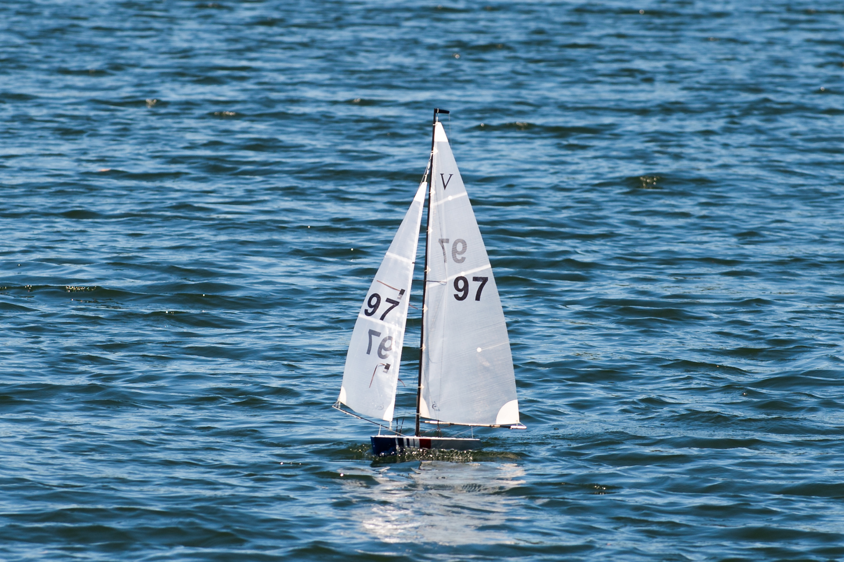 _DSC8372.jpg