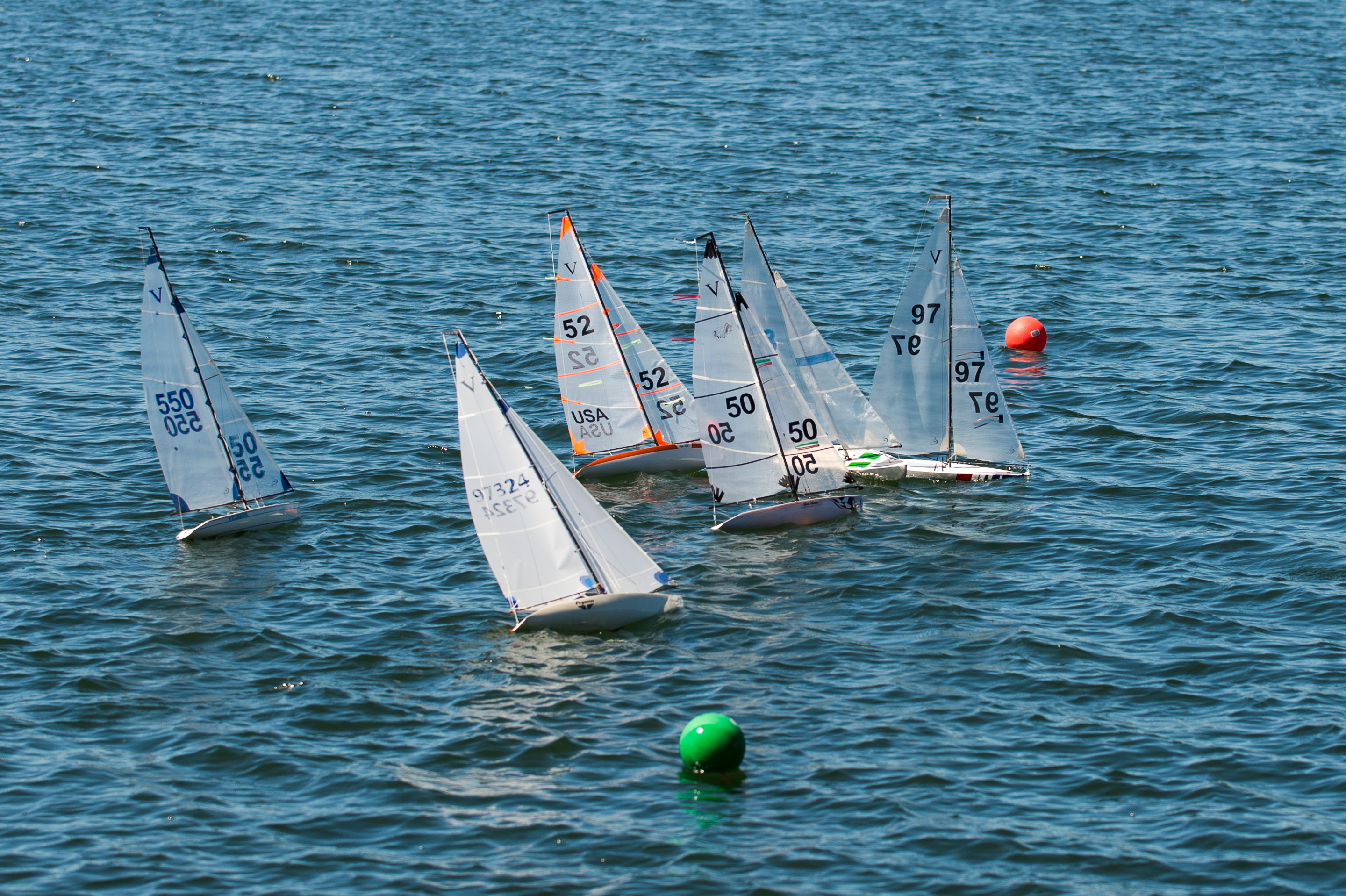 _DSC8389.jpg