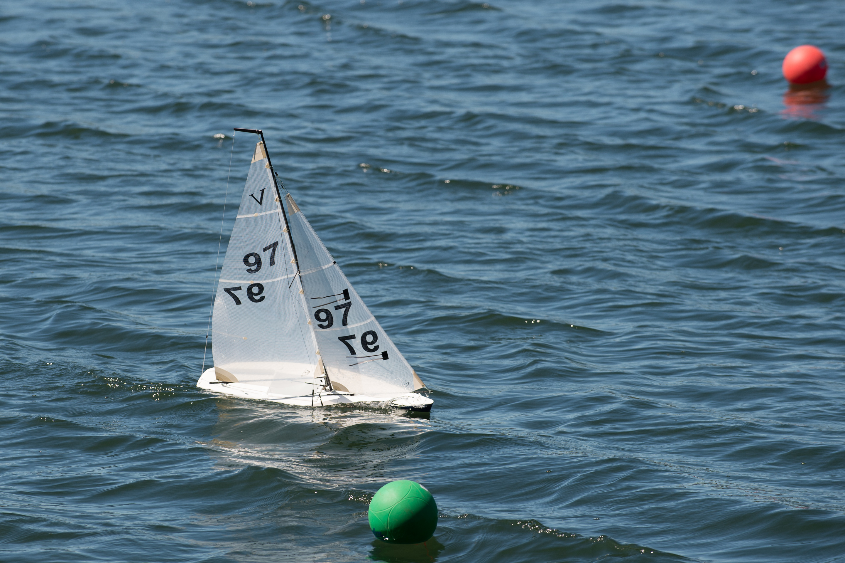 _DSC8406.jpg
