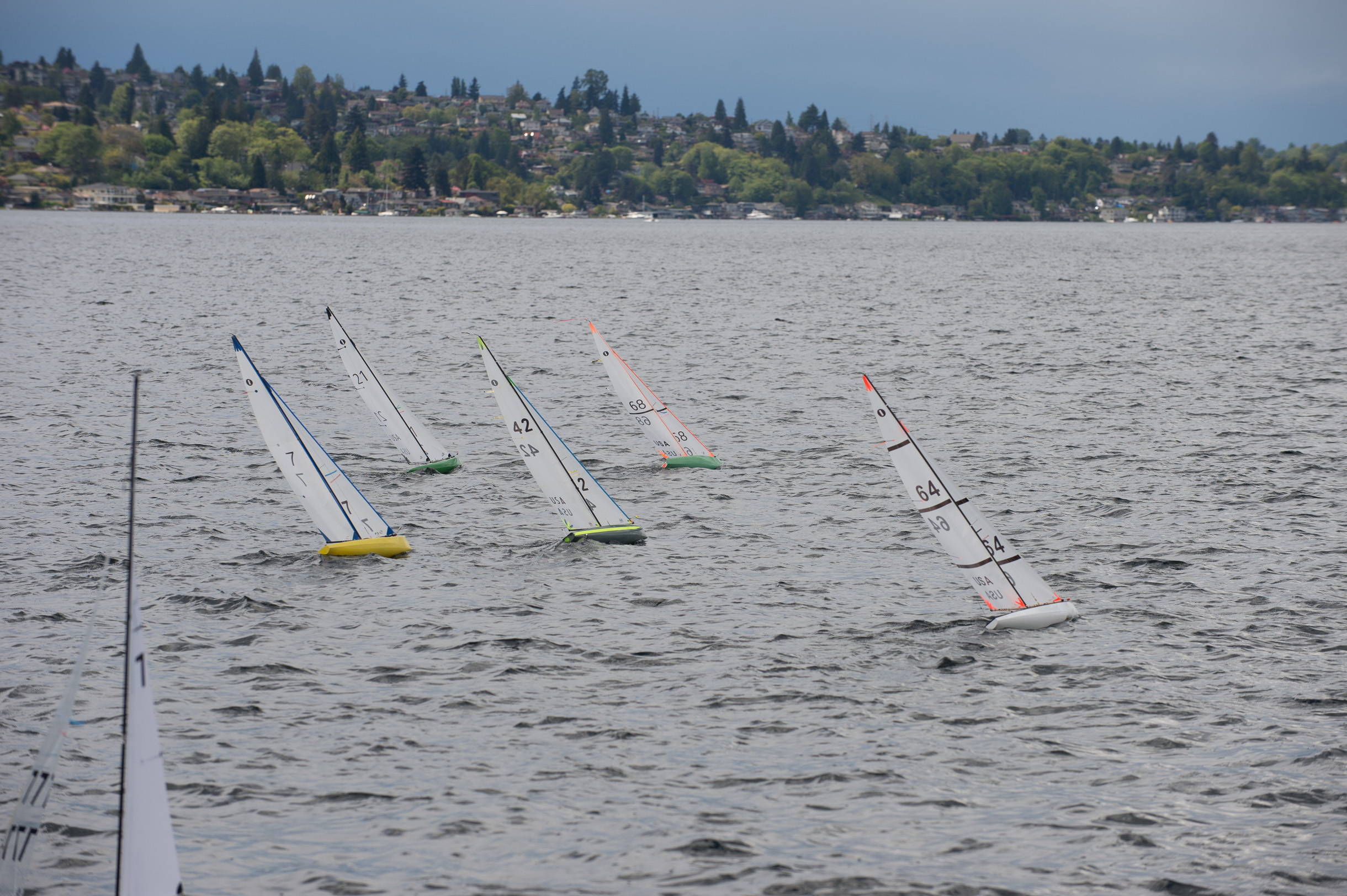 _DSC9268.jpg