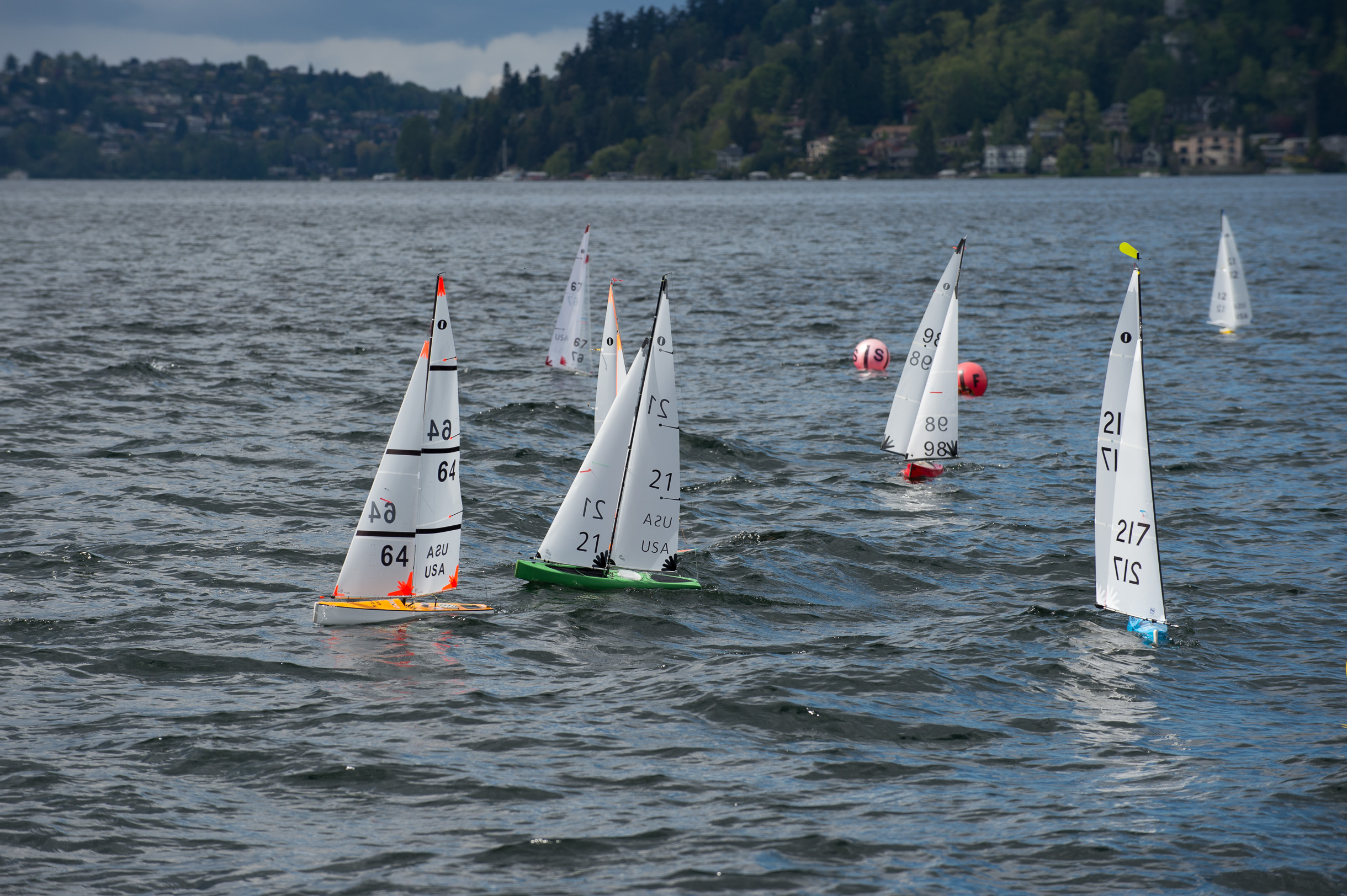 _DSC9273.jpg