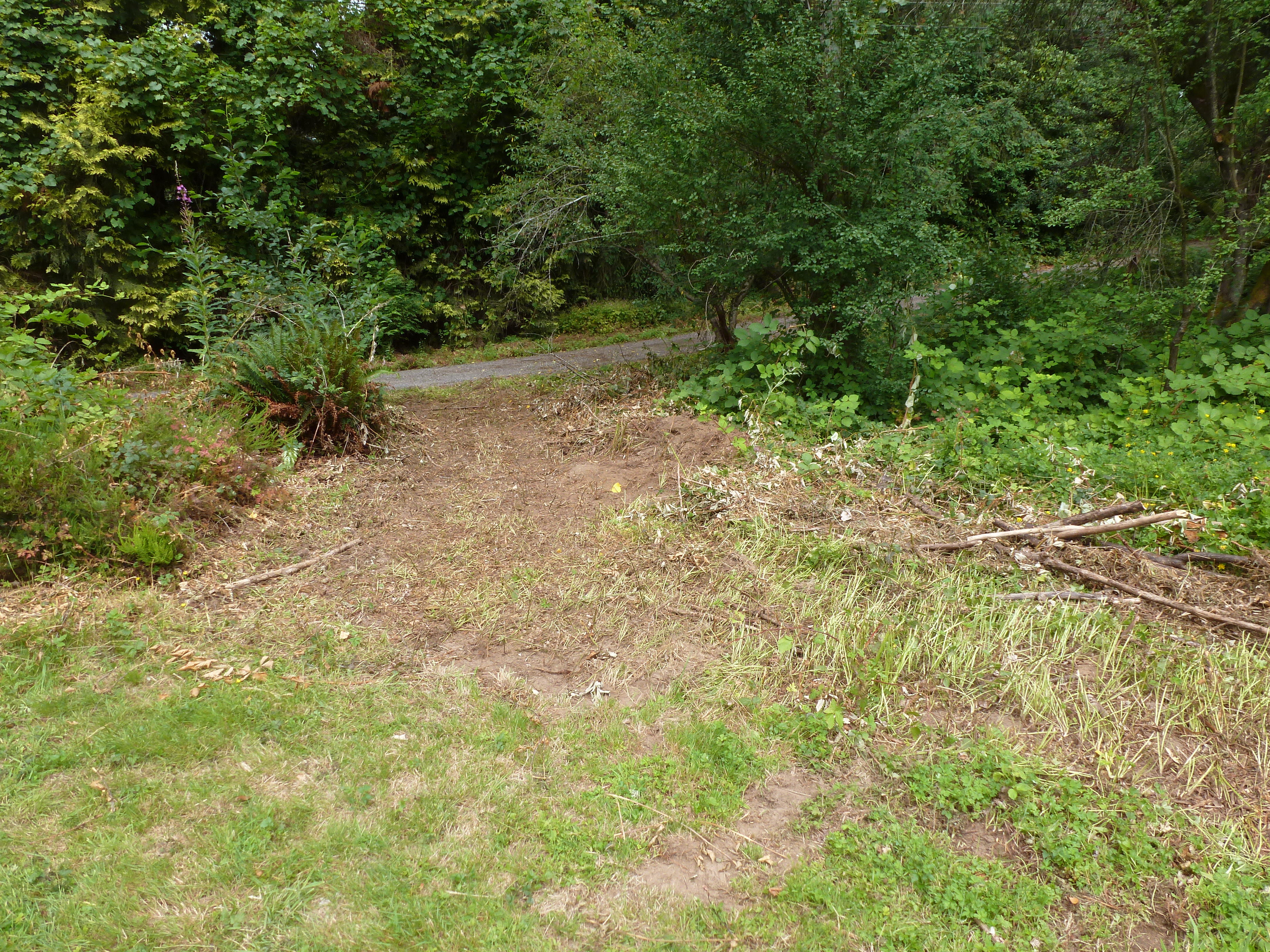 Did a test drive by plowiing out a connecting road through heavy blackberries and small trees.