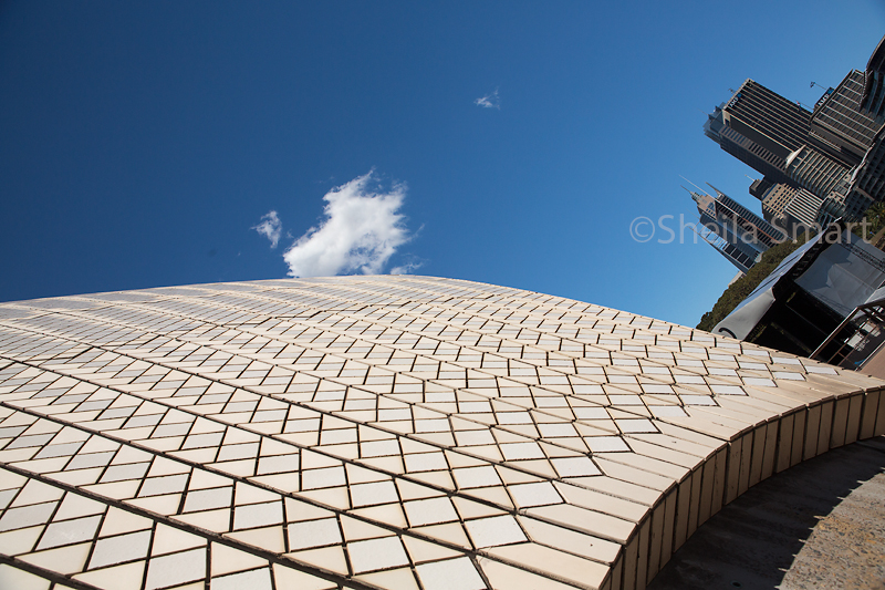 Sydney Opera House tiles with city buildings
