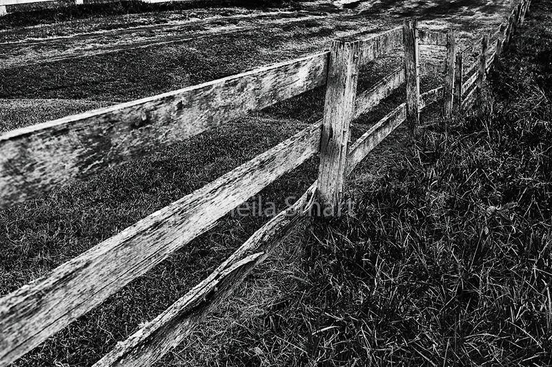 Annies fence in mono