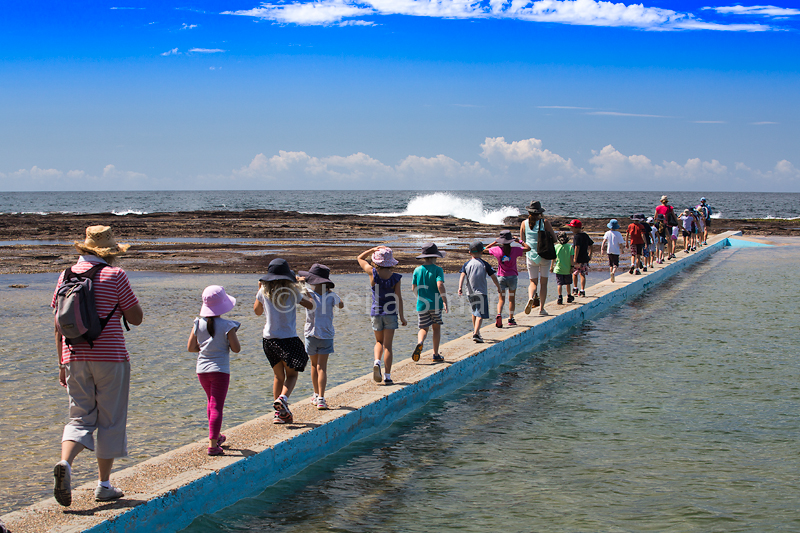 Kids at Narrabeen rockpool