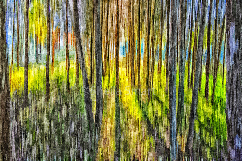 Tree abstract 