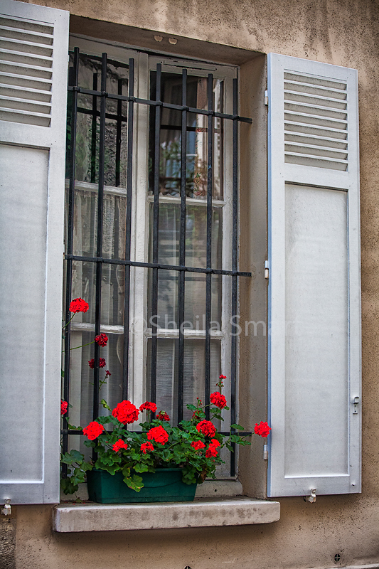 Paris window box 