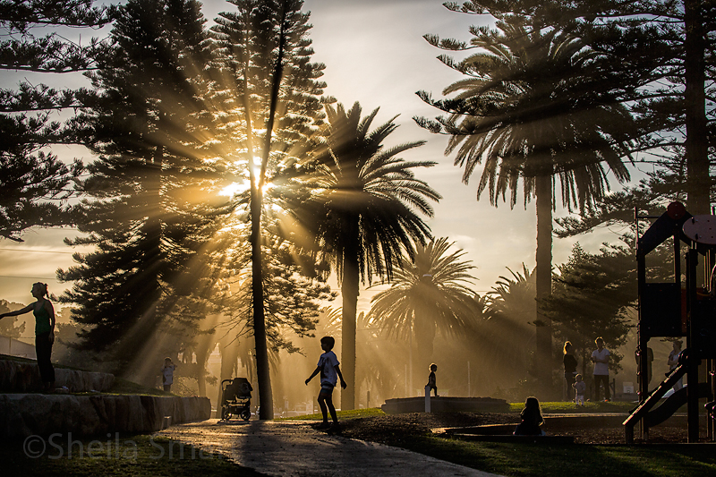 Avalon playground with sunbeams through palms