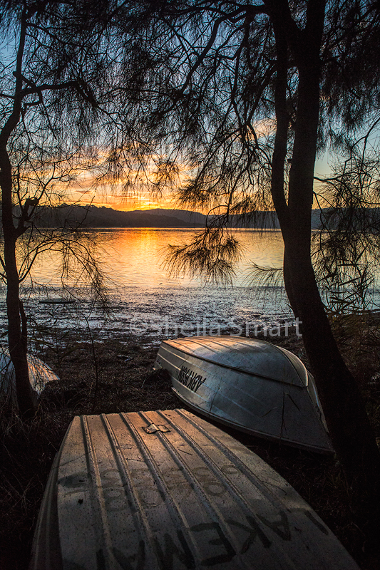 Boats at Narrabeen Lake at sunset, portrait
