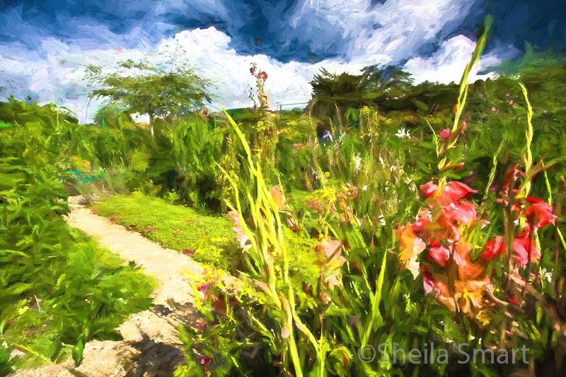 Monets Garden, Giverny 