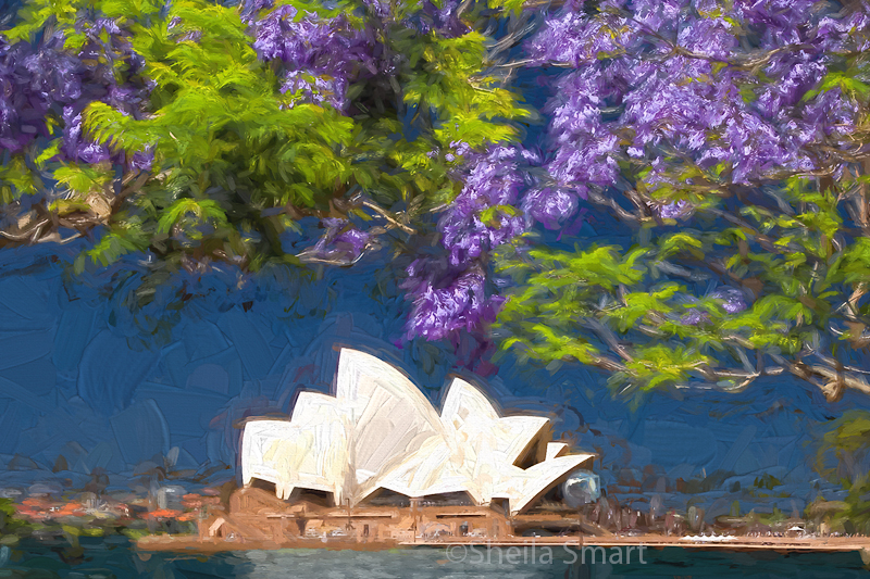 Jacaranda Spring impressionist version