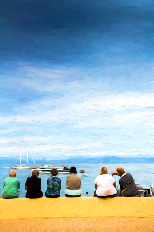 Six visitors on wall at Kaiteriteri, New Zealand