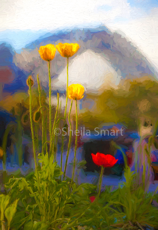 Poppies and Bridge 