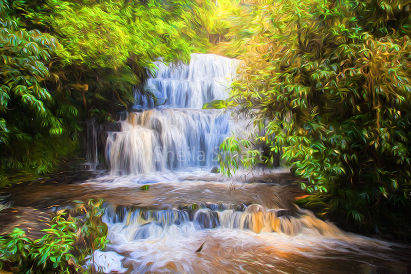 Purakaunui Falls 