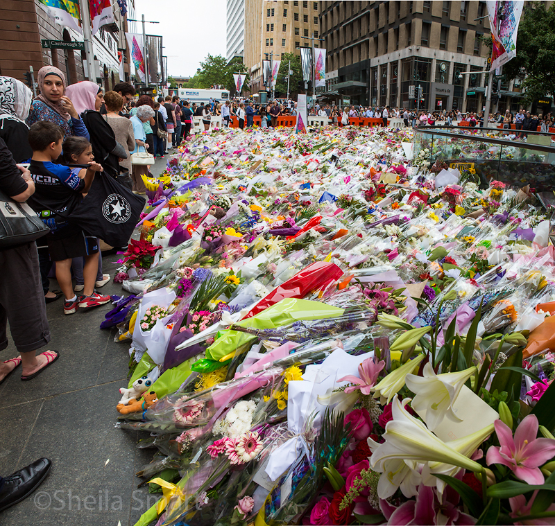 Flowers in Martin Place