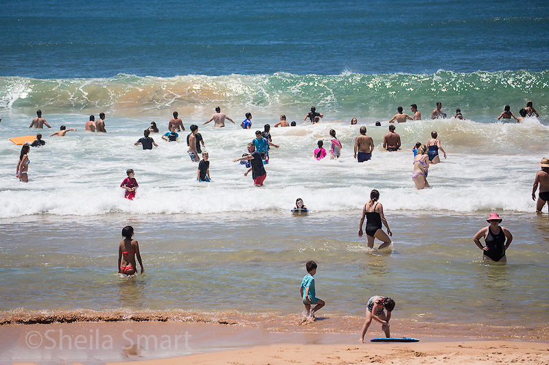 People having fun in the surf at Dee Why