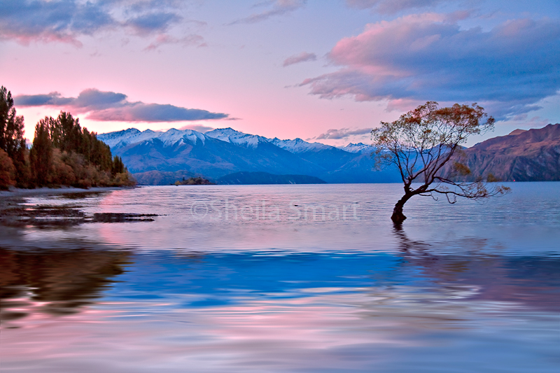 Late evening at Lake Wanaka, South Island, New Zealand