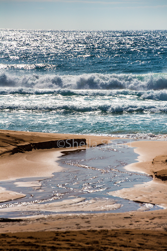 Bilgola morning 