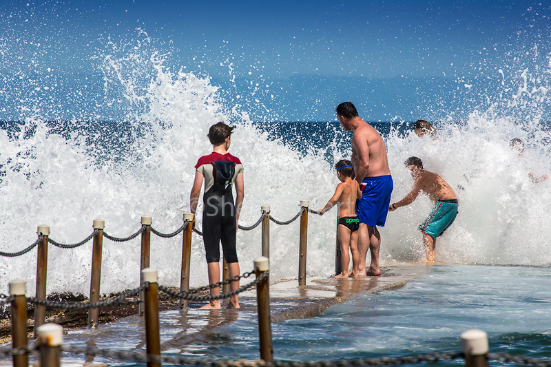 Avalon rockpool fun 