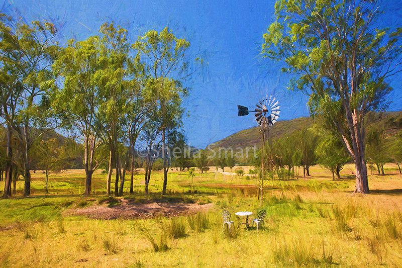 Australian paddock with mill 