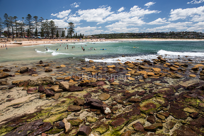 Dee Why rocks 