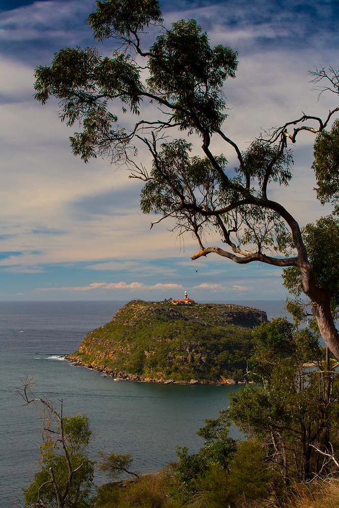 Barrenjoey Headland from West Head