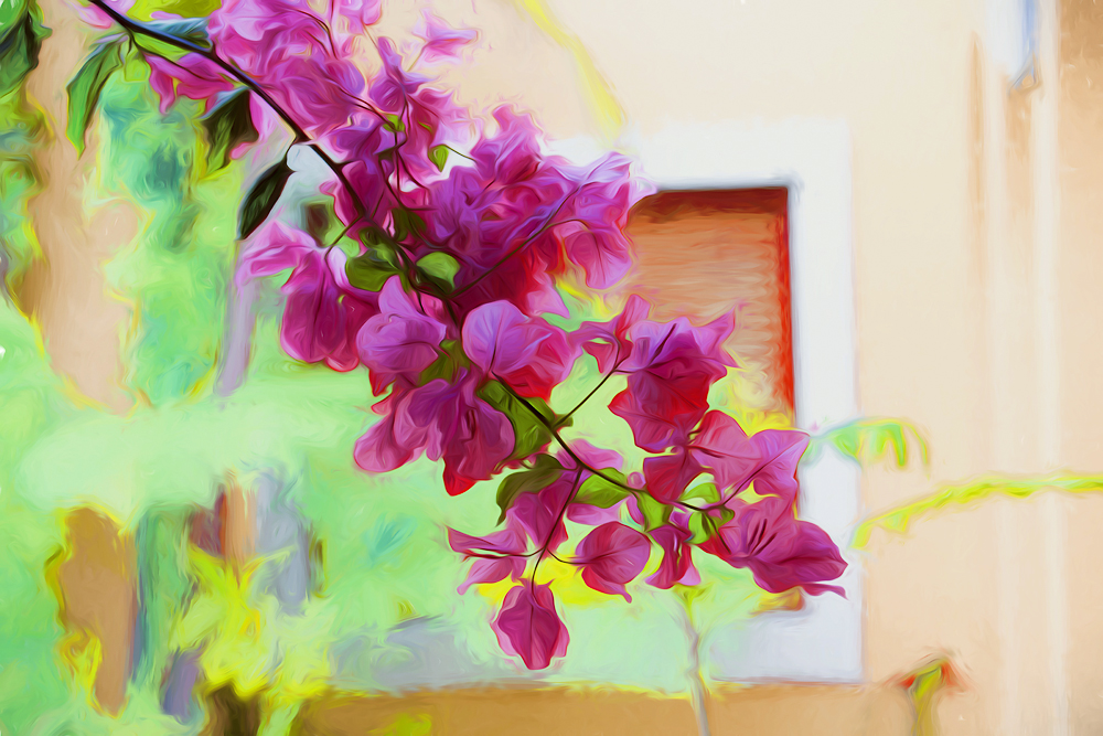 Bougainvillea painting 