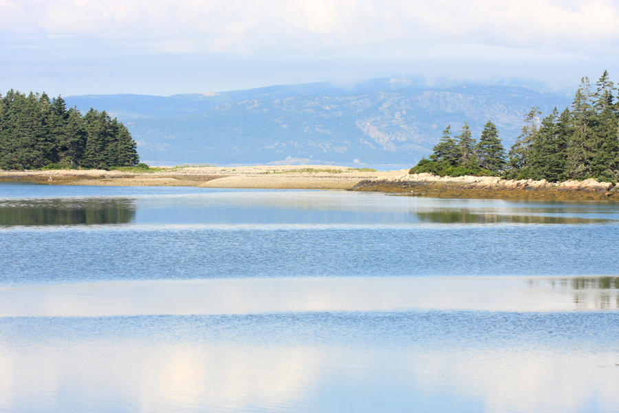 Bay near Schoodic area