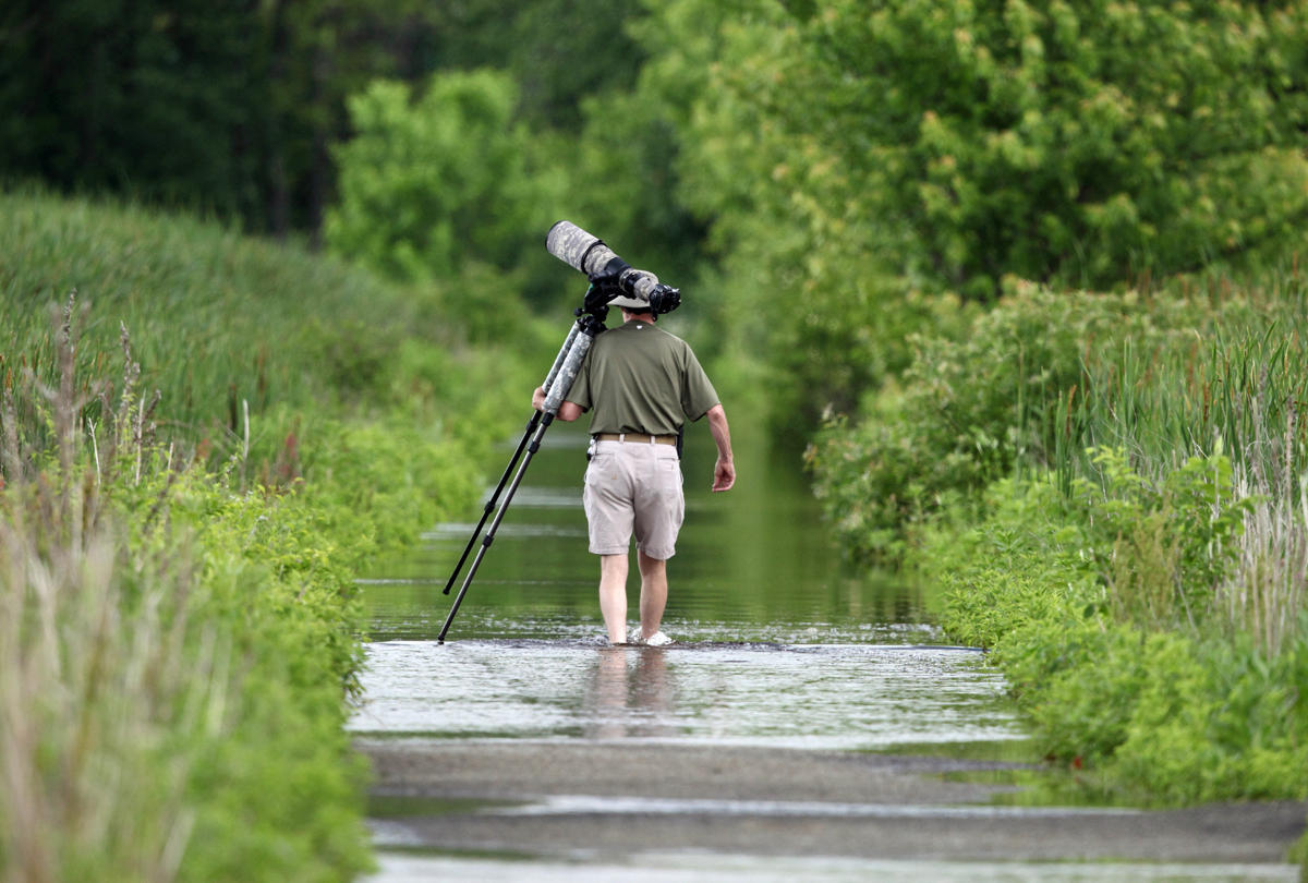 Flooded dike trail