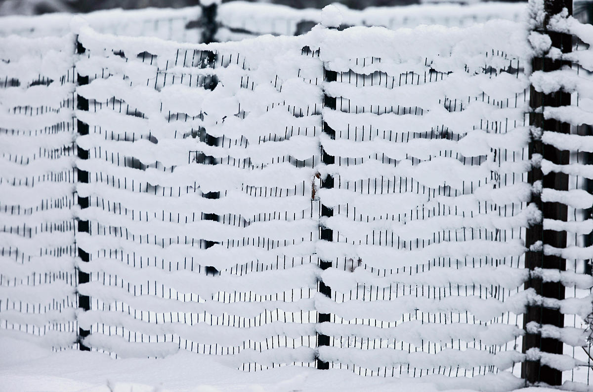 snow on the garden fence