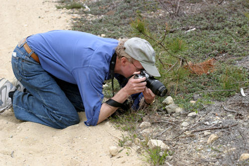 Erik photographing a butterfly